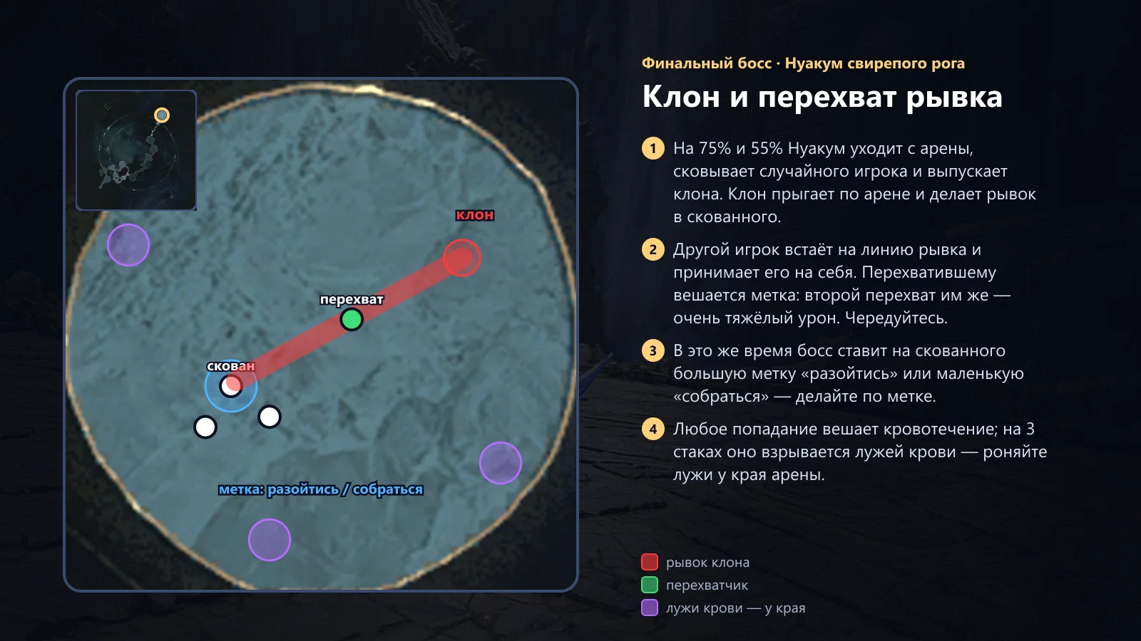 Нуакум: клон и перехват рывка