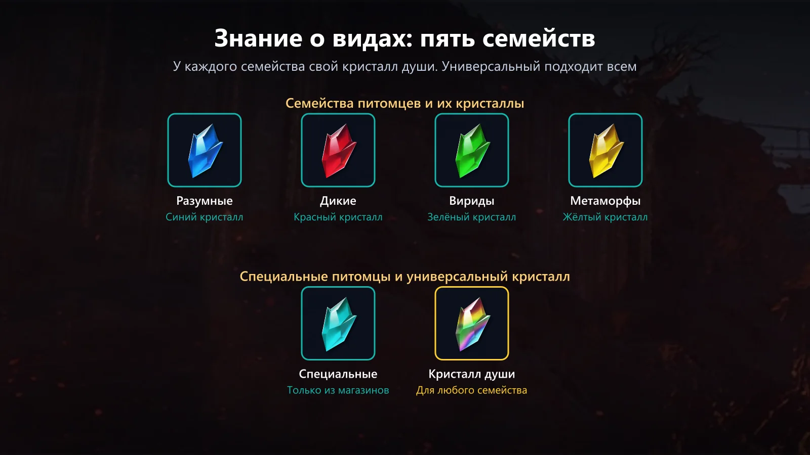Знание о видах: пять семейств и их кристаллы души